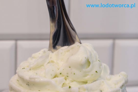Zachwycające lody Rzeszów
