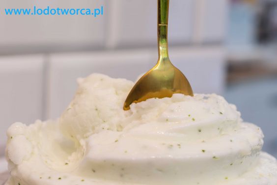 Pyszne lody Rzeszów