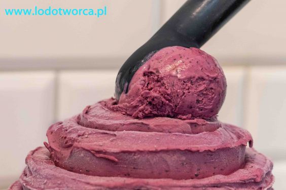 Lody Rzeszów najsmakowitsza lodziarnia